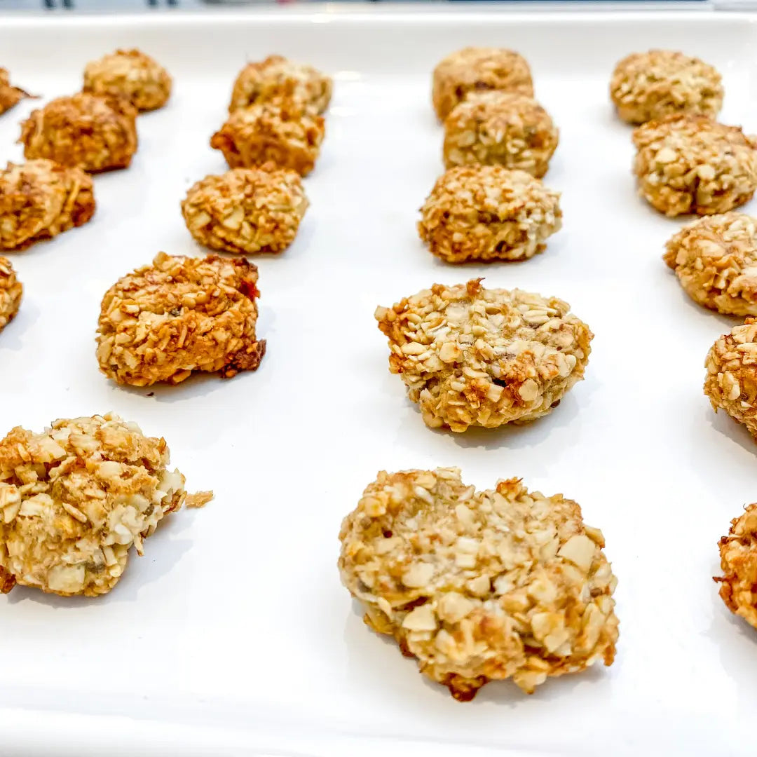 Dog cookie recipes clearance with oatmeal