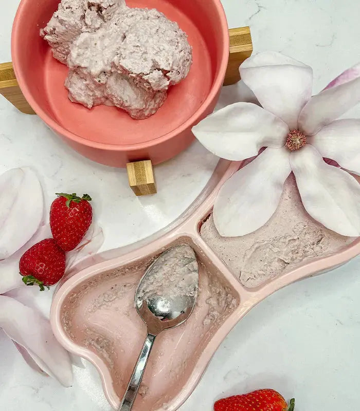 diy dog ice cream