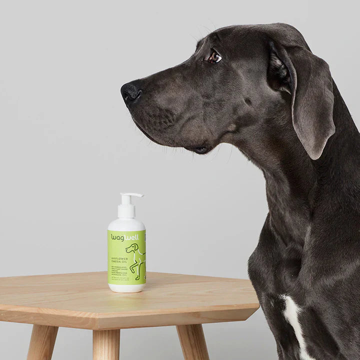 The Best Plant-Based Omega Source for Your Dog: Ahiflower Omega Oil and Its Health Benefits