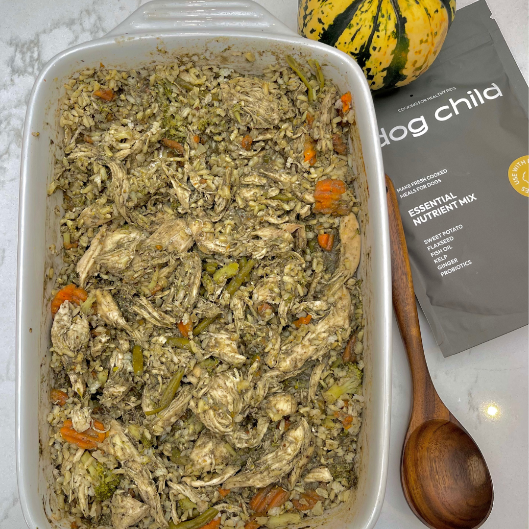 Chicken casserole recipe for dogs