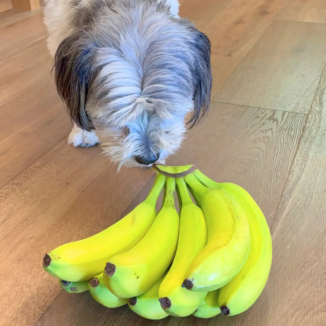 Air Fryer Banana Treats for Dogs Dog Child
