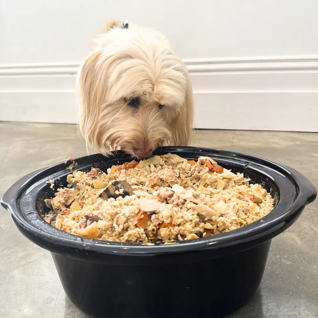 Budget Batch Home-Cooked Dog Food Recipe (Slow Cooker) Dog Child