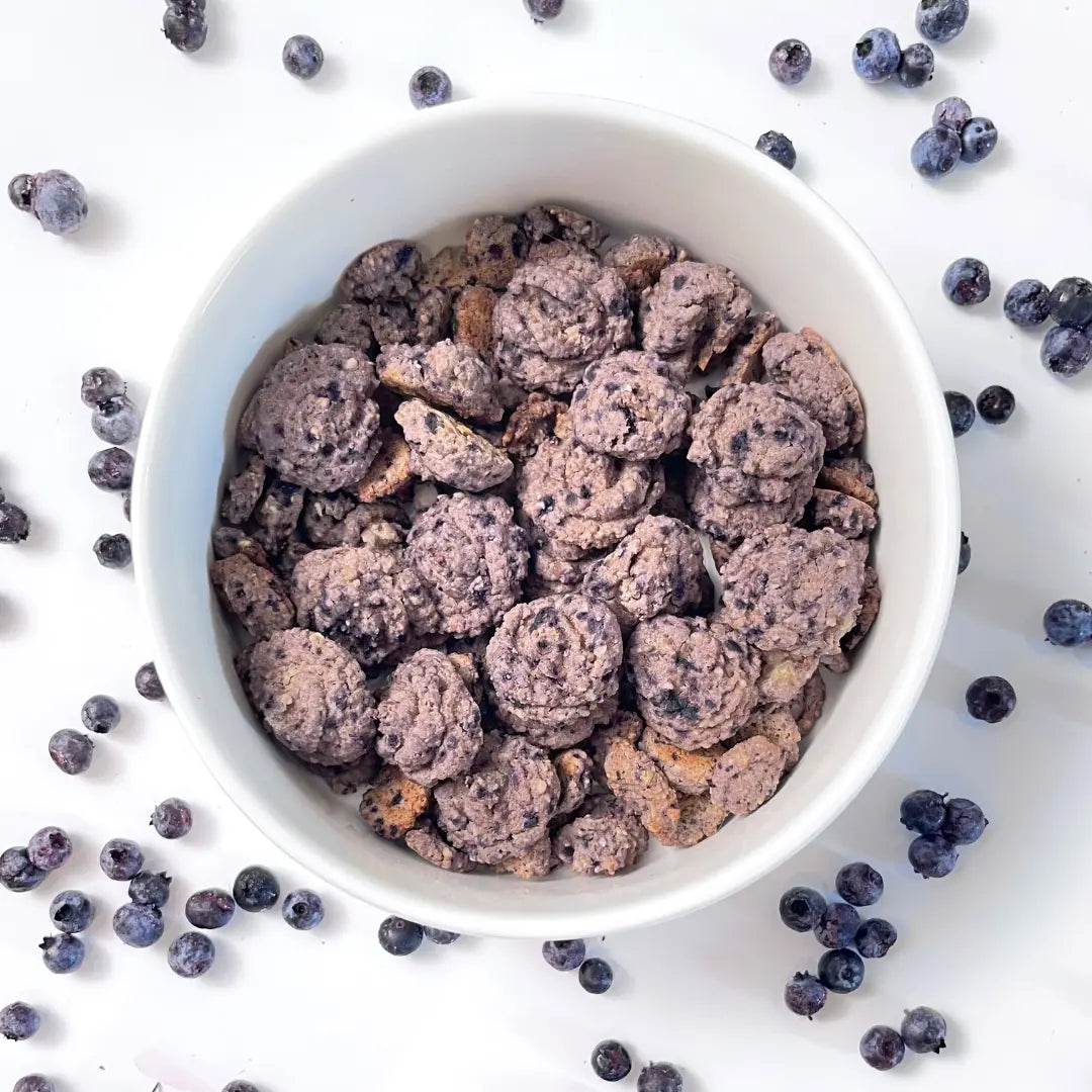 3-Ingredient-Dog-Treats-With-Blueberries-Recipe Dog Child