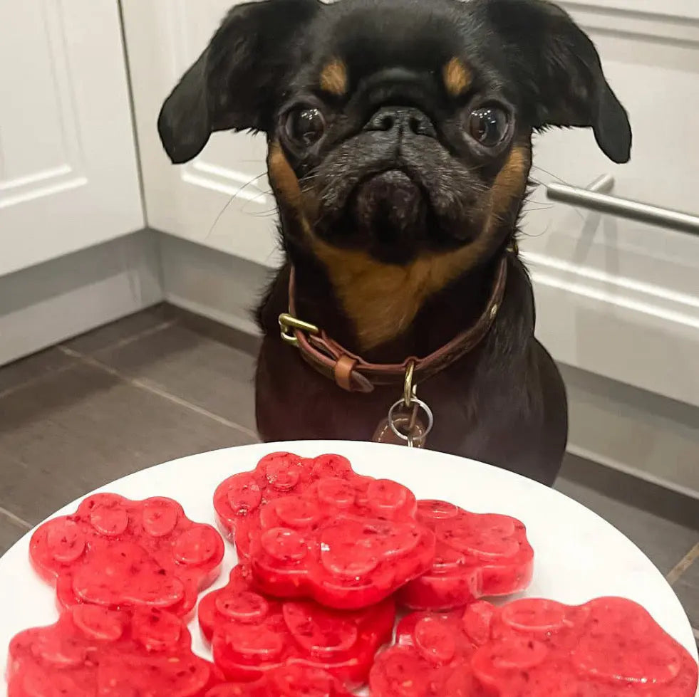 Frozen Cranberry Dog Treats