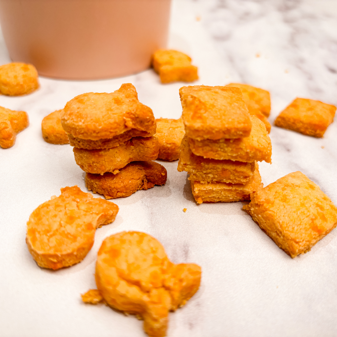 2 Ingredient Cheddar Gold Fish - Dog Treat Recipe Easy