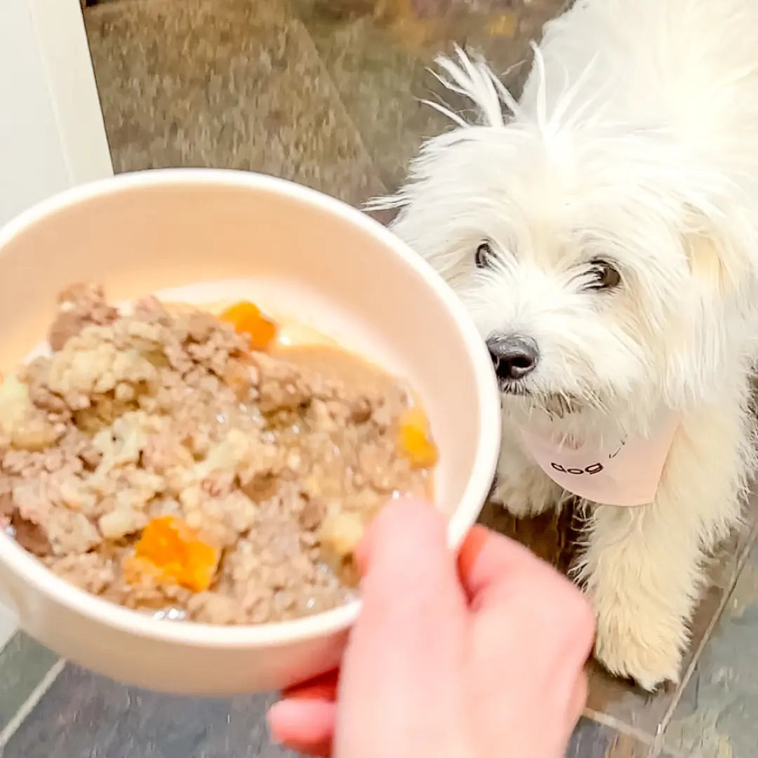 Homemade-Puppy-Food-Recipe Dog Child