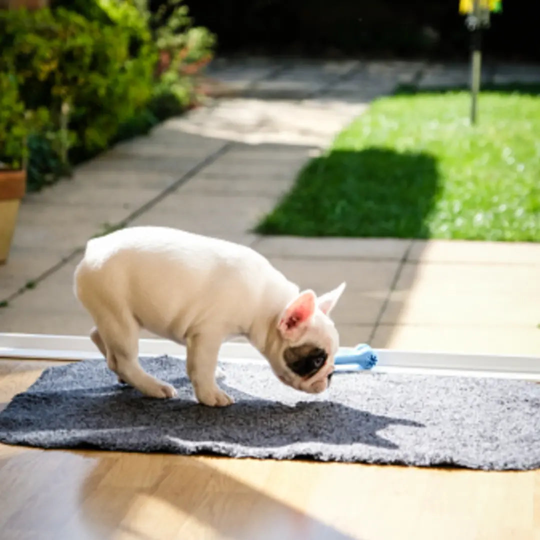 snuffle mat