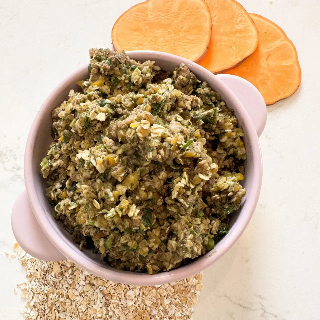 Beef & Sweet Potato Stew for Dogs Dog Child