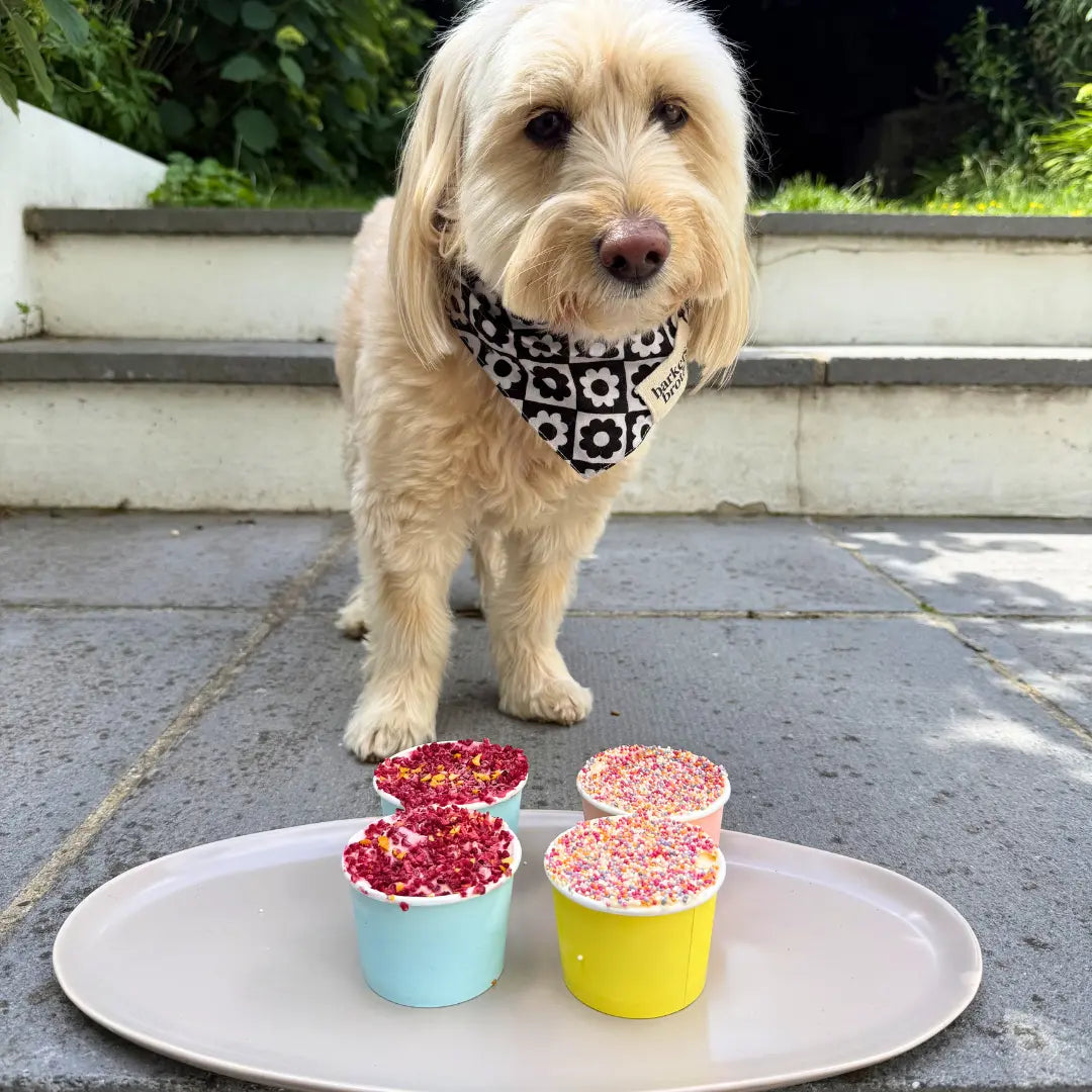 Homemade Dog Dot Cakes Recipe Banana & Peanut Butter Gluten Free (Viral Dog-Friendly Cake Cups) Dog Child