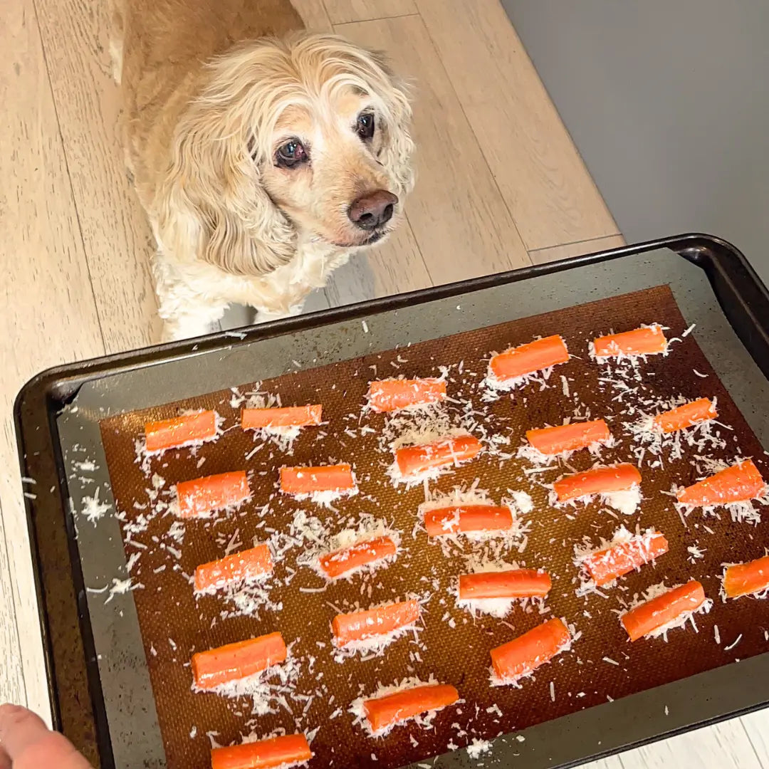Easy DIY Crispy Carrot Parmesan Dog Treats Dog Child