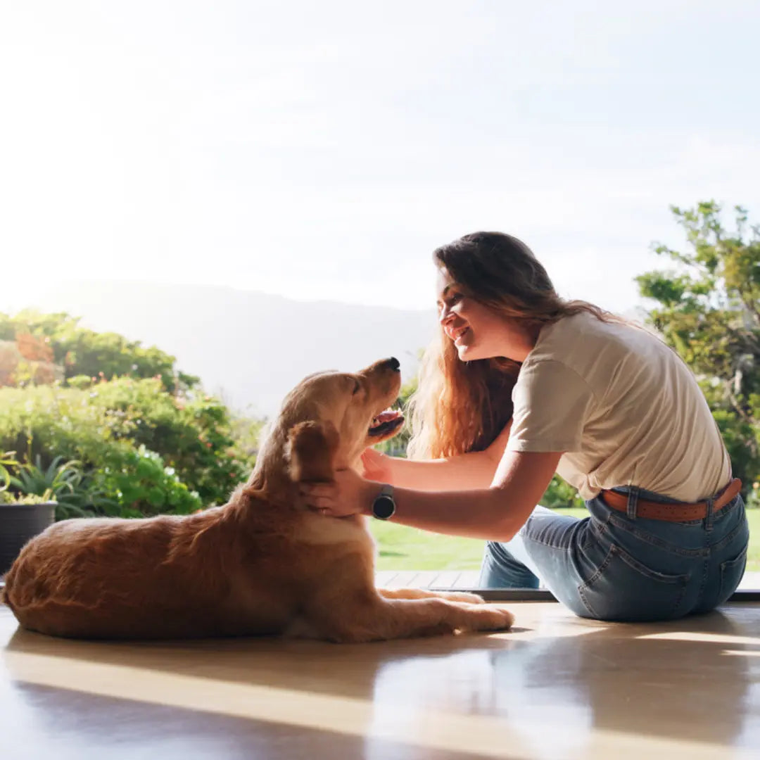 Dog Bites Happen in Loving Homes Too: What Every Dog Parent Should Know Dog Child