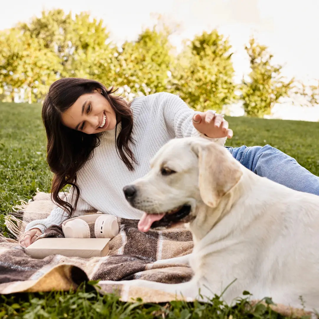 From Chaos to Calm: Training Your Dog with Positive Reinforcement Dog Child