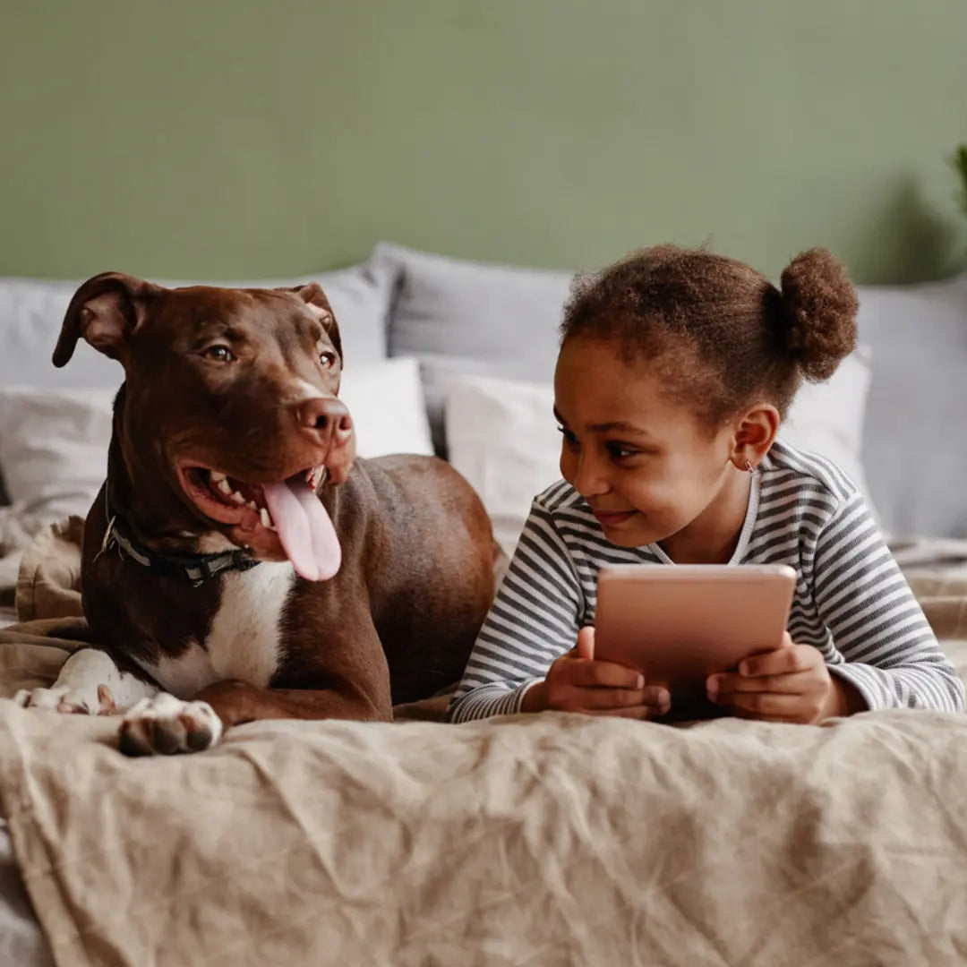 5 Key Boundaries of a Dog Home That Keeps Children Safe Dog Child