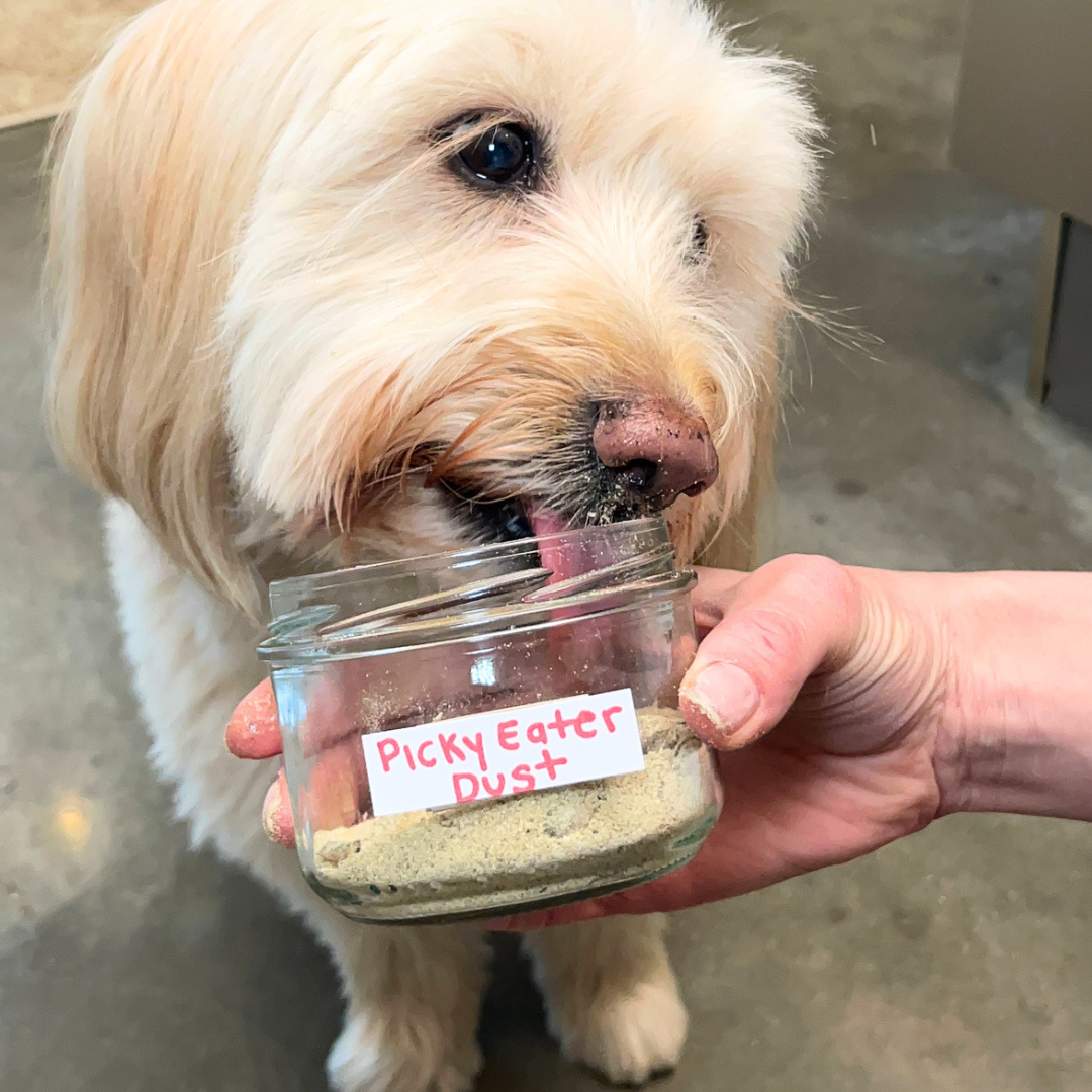Picky Eater Dust: Homemade Dog Food Topper Recipe | Dog Child