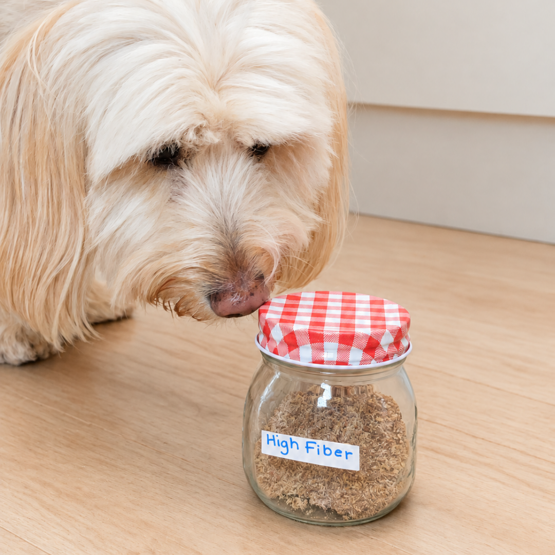 Homemade High Fiber Supplement for Dogs