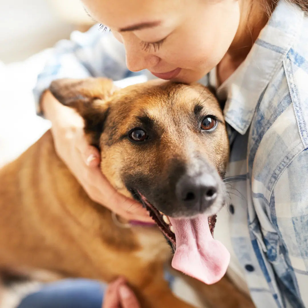 How Can You Help Your Dog Cope with Separation Anxiety? Dog Child