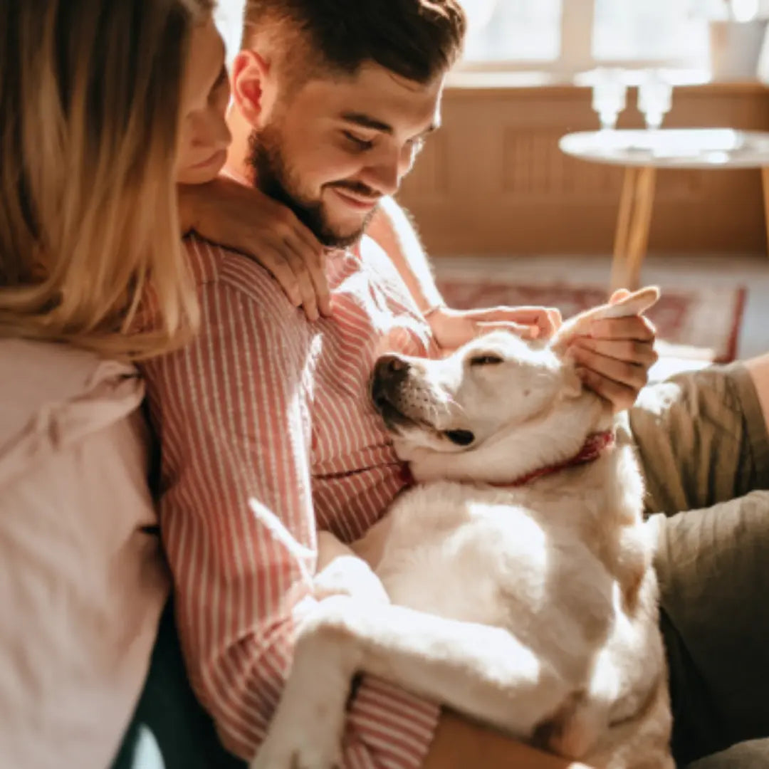 Dating-with-a-Dog-Find-Someone-Who-Loves-You-and-Your-Pup Dog Child