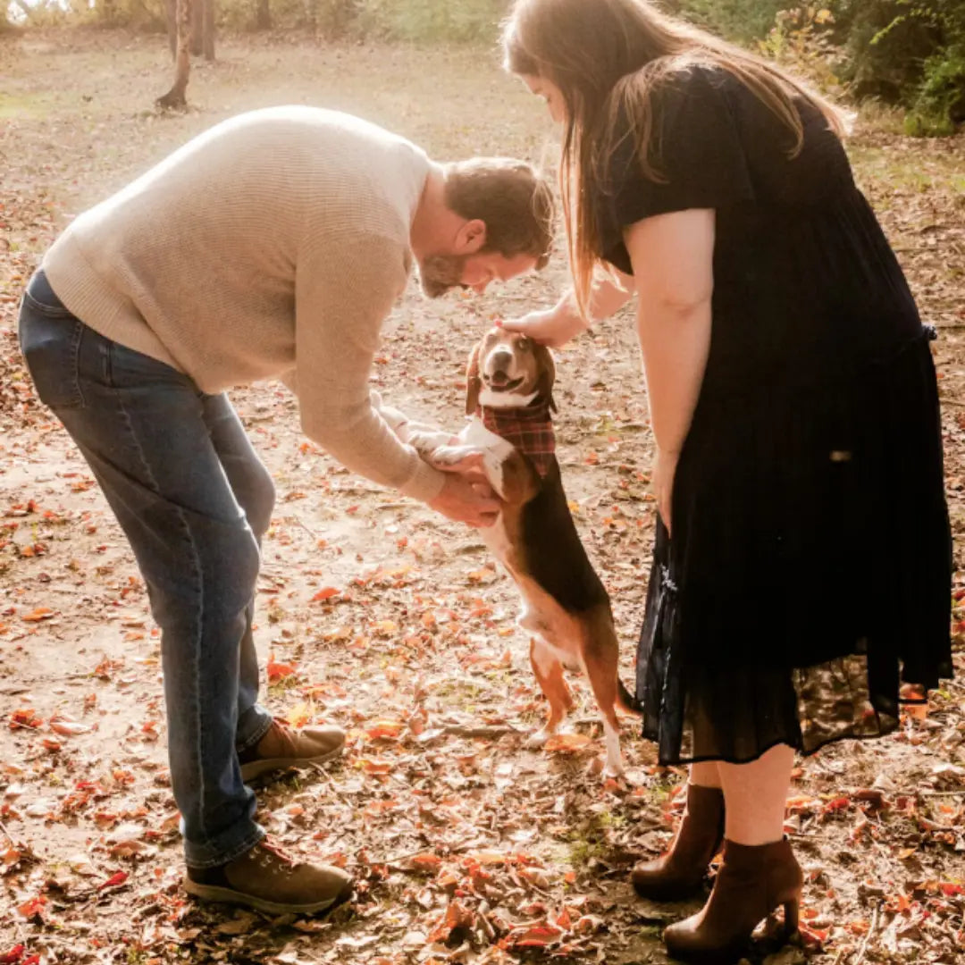 How-to-Show-Your-Partner-That-You-Love-Their-Dog-Too Dog Child