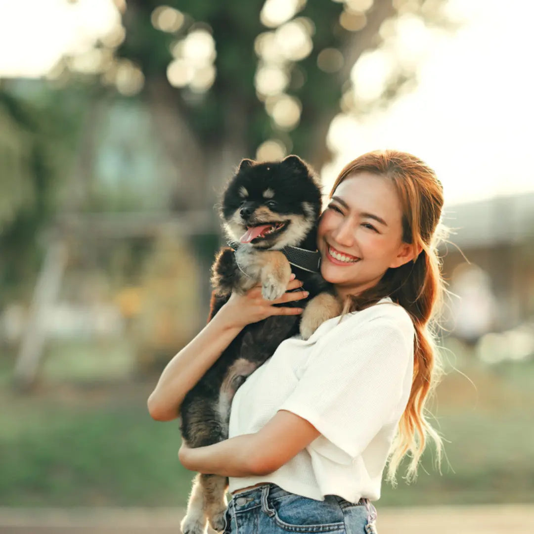 How-to-Make-a-Dog-Love-You-Instantly Dog Child