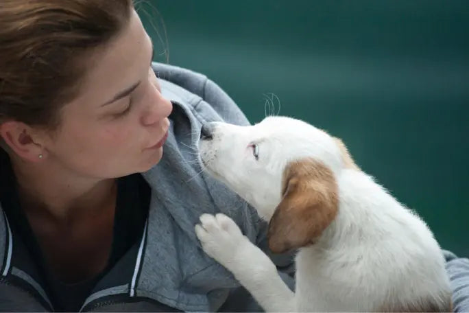 How-Animal-Shelters-Teach-Kids-Responsibility-and-Life-Skills Dog Child