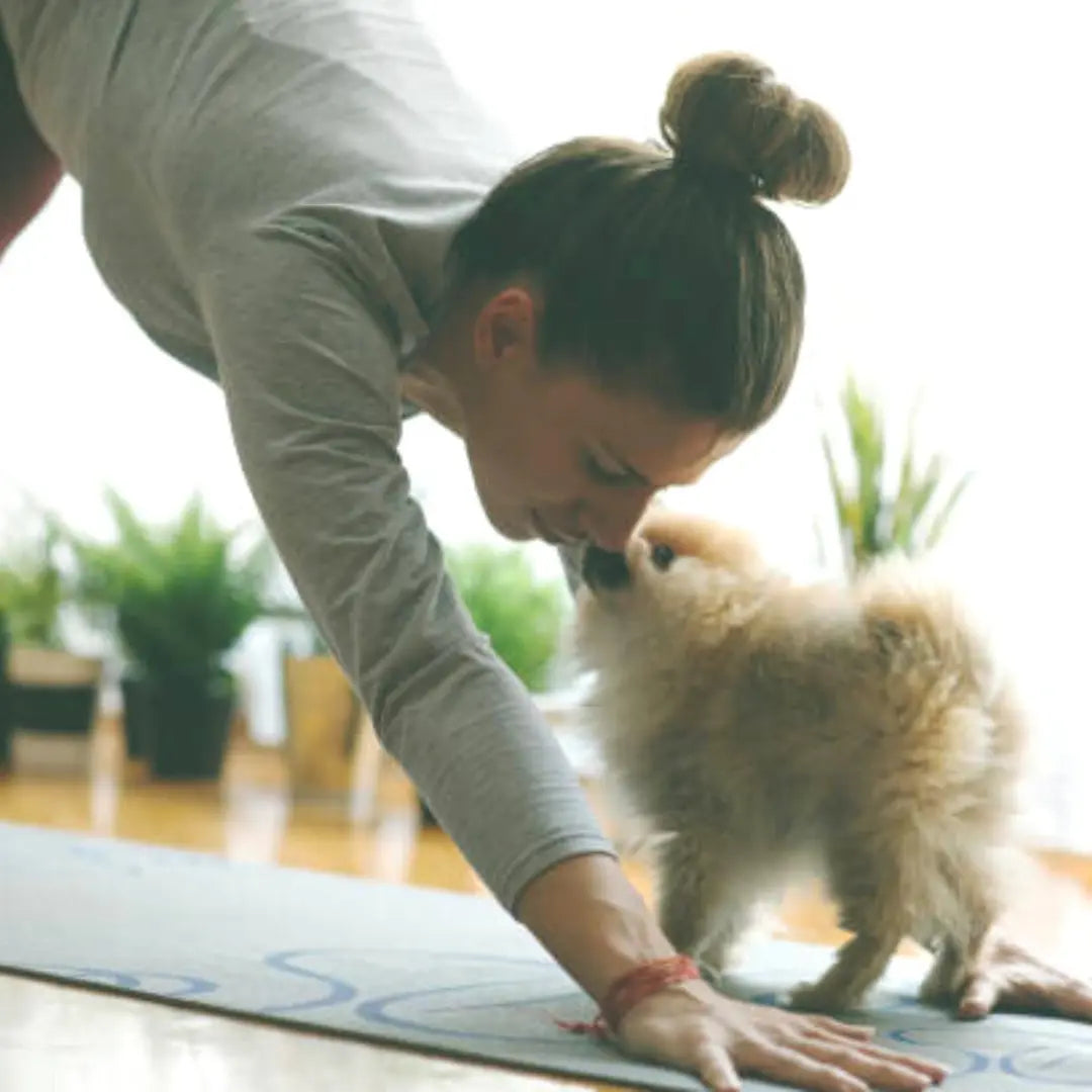 probiotics for dogs