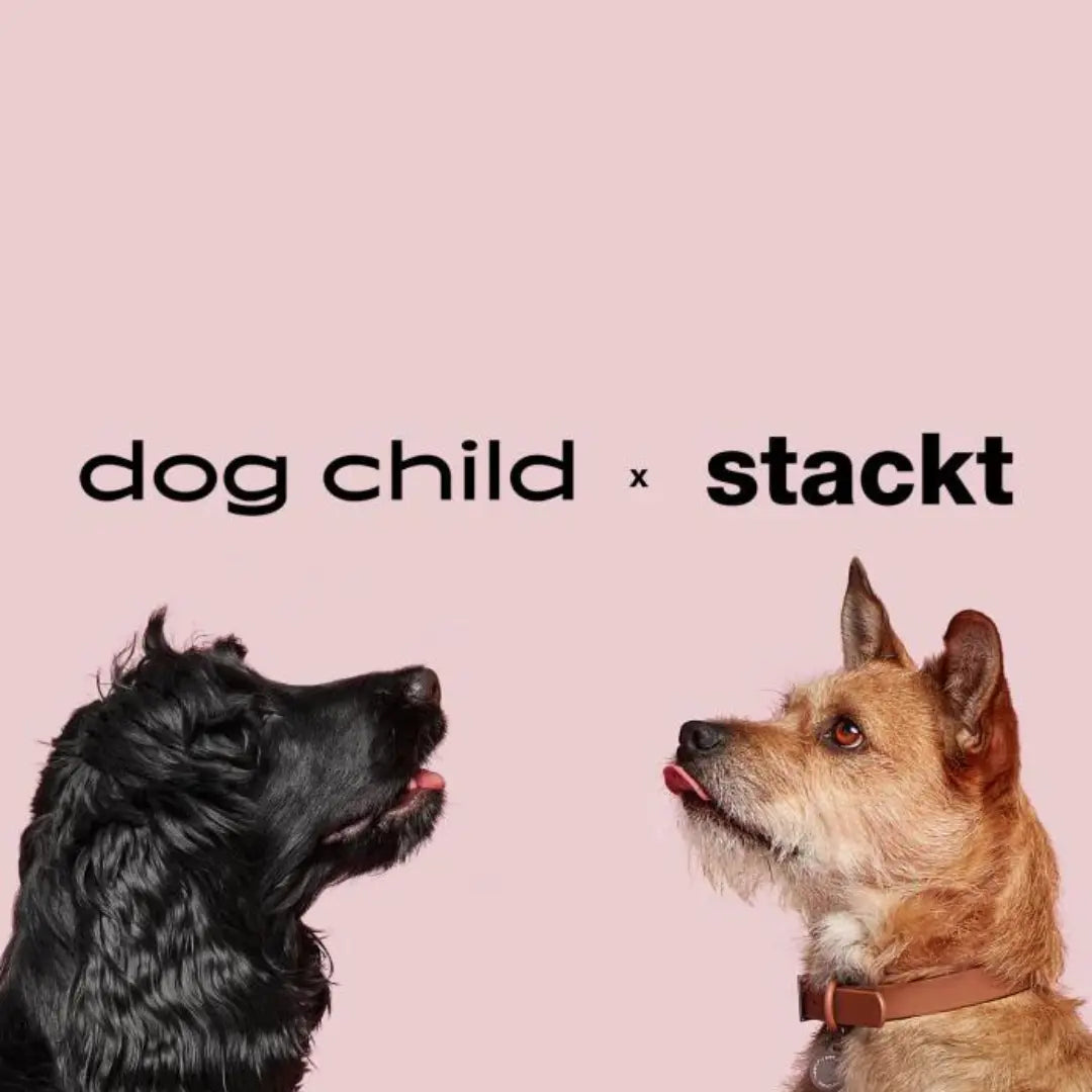 Two Dogs looking at each other