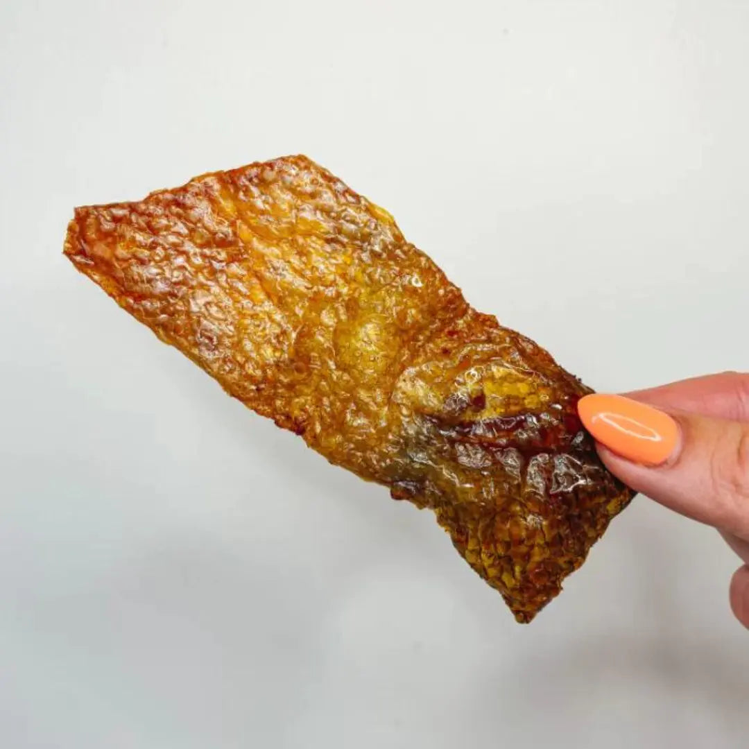 Is cooked salmon skin good for dogs best sale