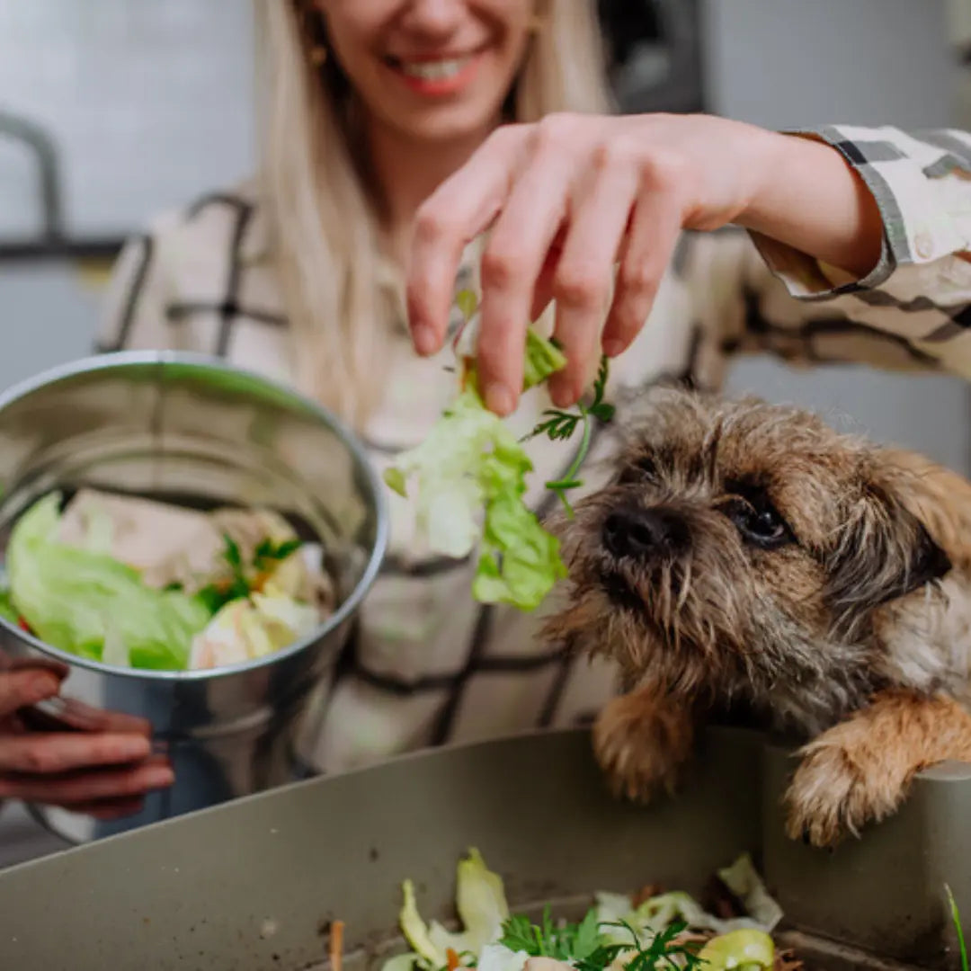 Upcycle Vegetables for your dog