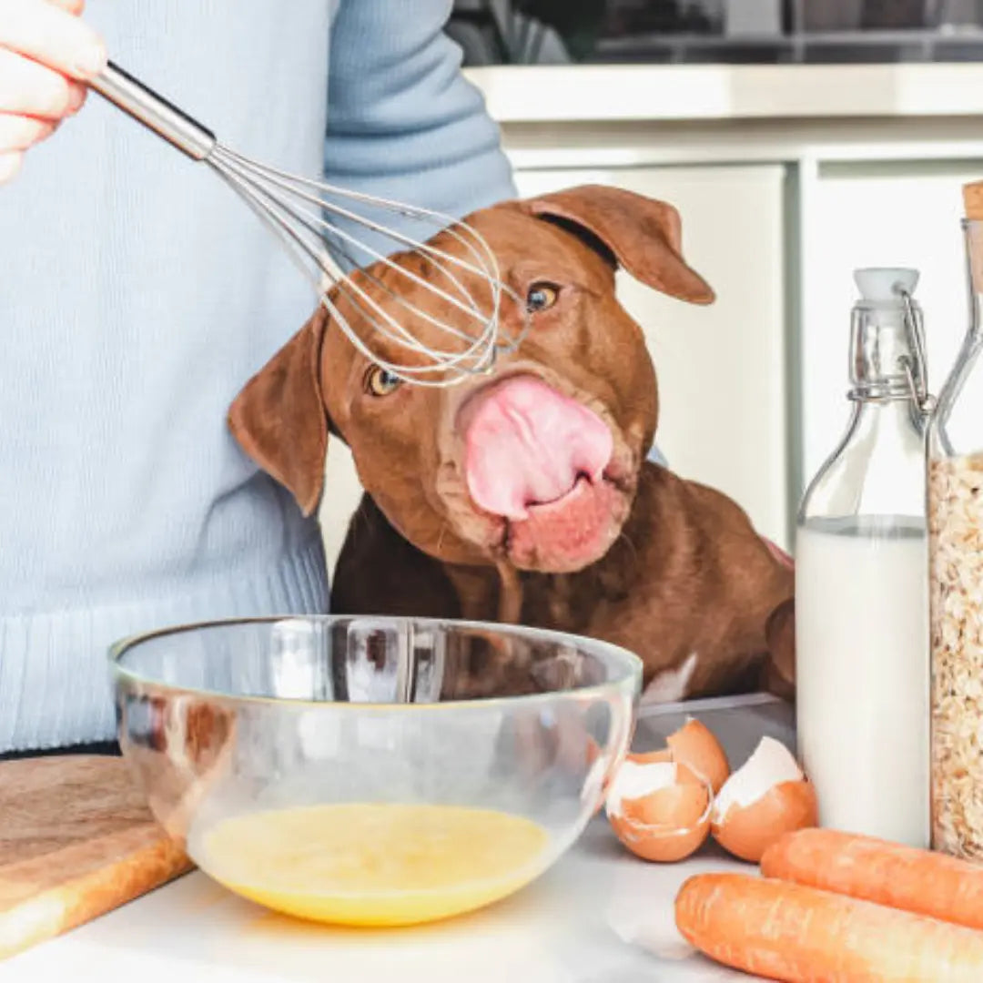 cooking for your dog
