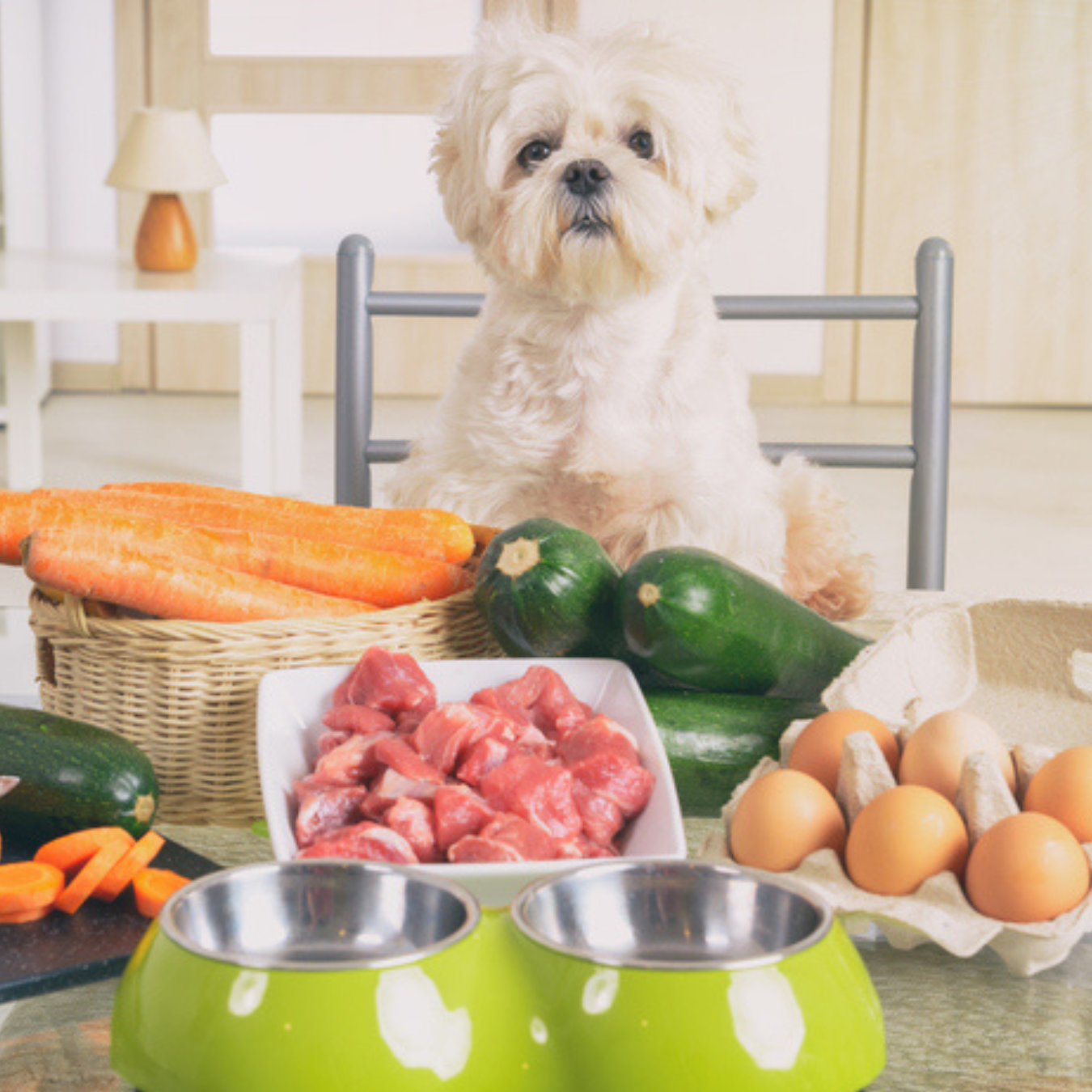 Dog Recipes Ground Beef