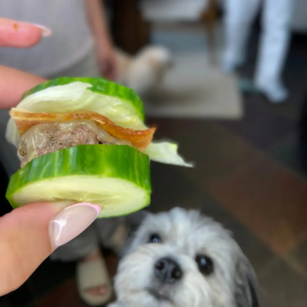 burger and dog