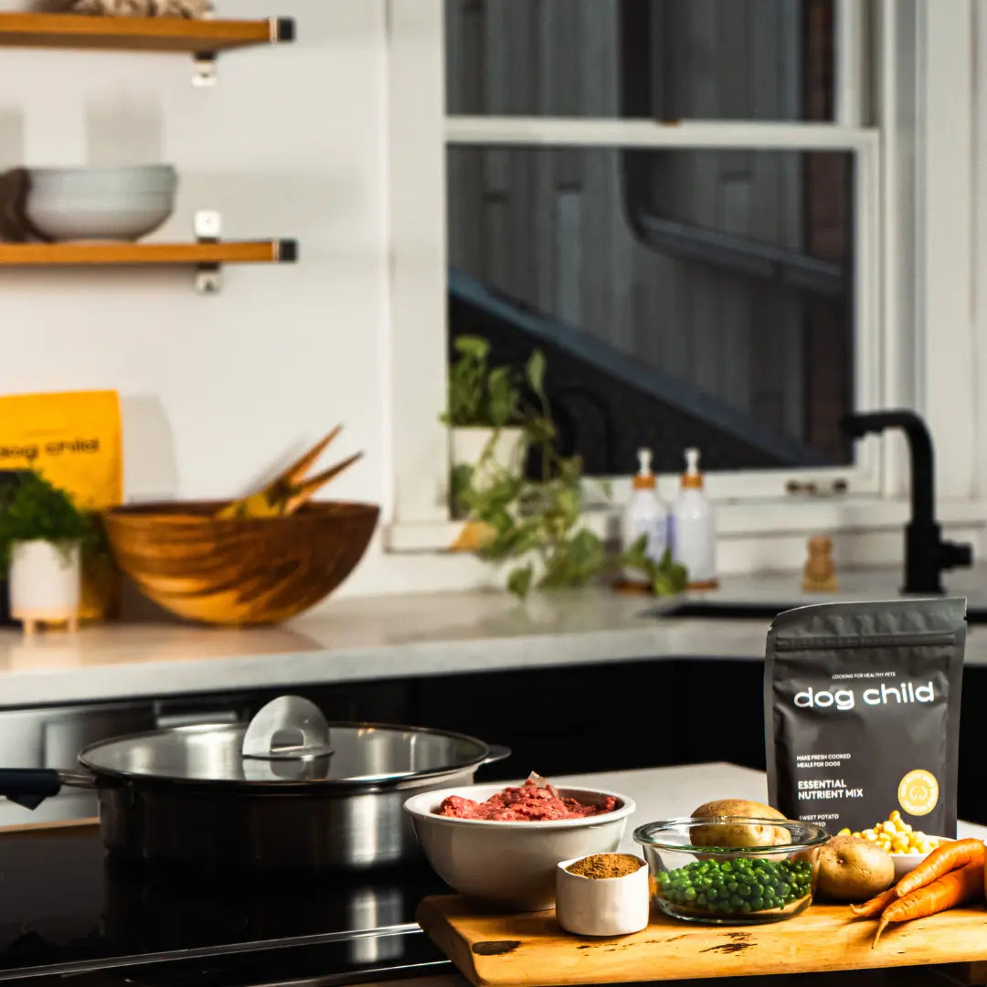 The Best Homemade Dog Food Recipes - Dog Child