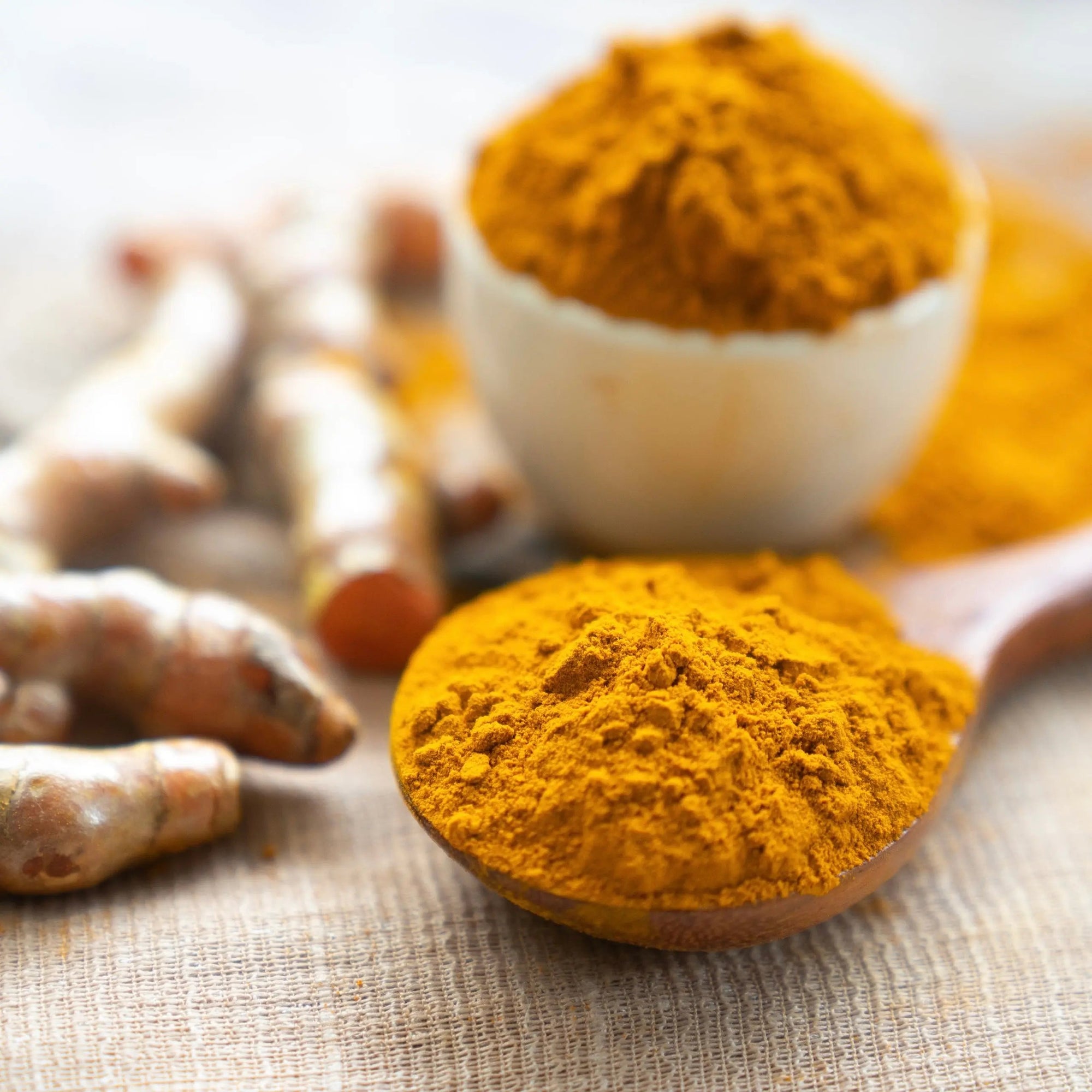 turmeric for dogs