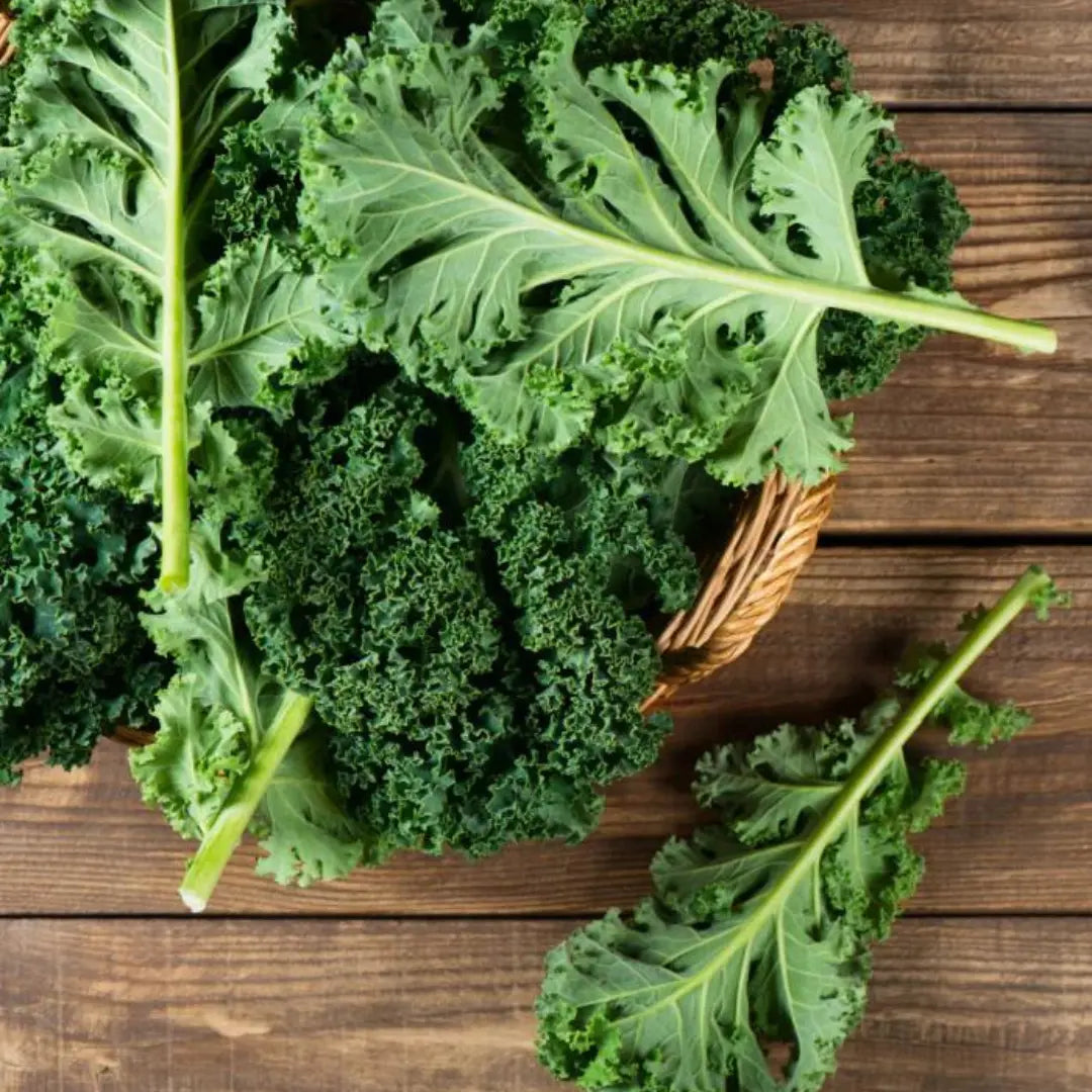 can dogs eat kale