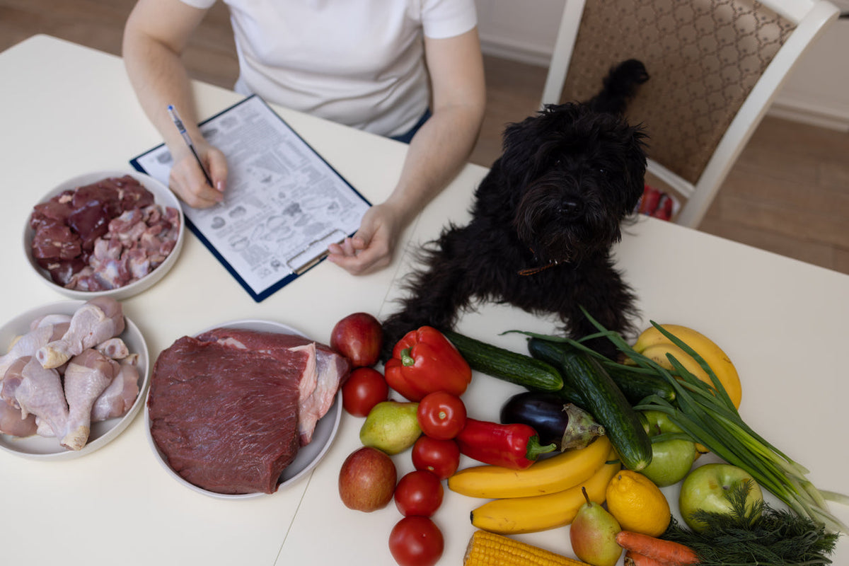 dog with liver