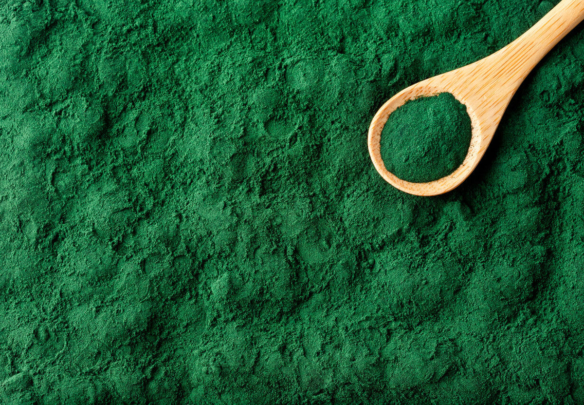 spirulina and wooden spoon