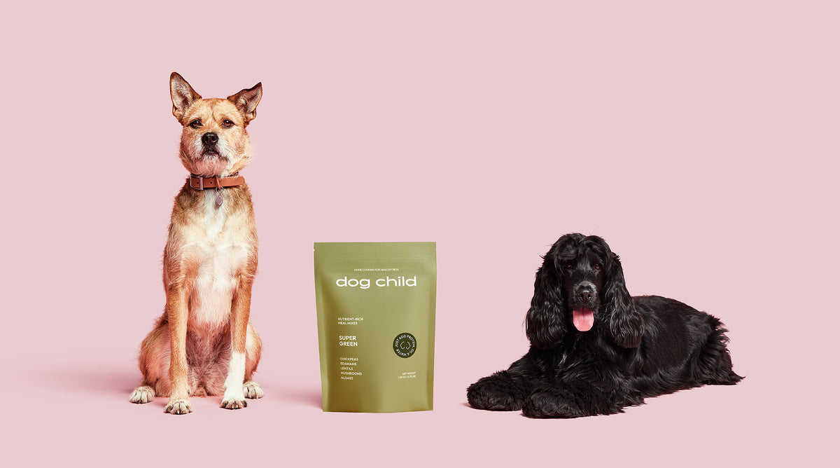 Cision Article - On a mission to help people feed their dogs like they feed themselves, Dog Child makes it easy for dog parents to cook complete and balanced meals in just 15 minutes each week.