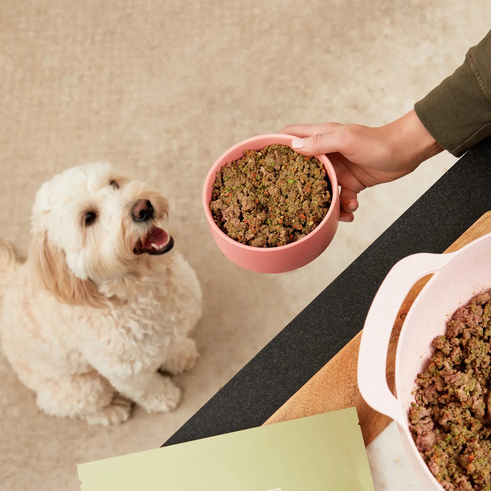 Homemade Recipe Review Dog Child