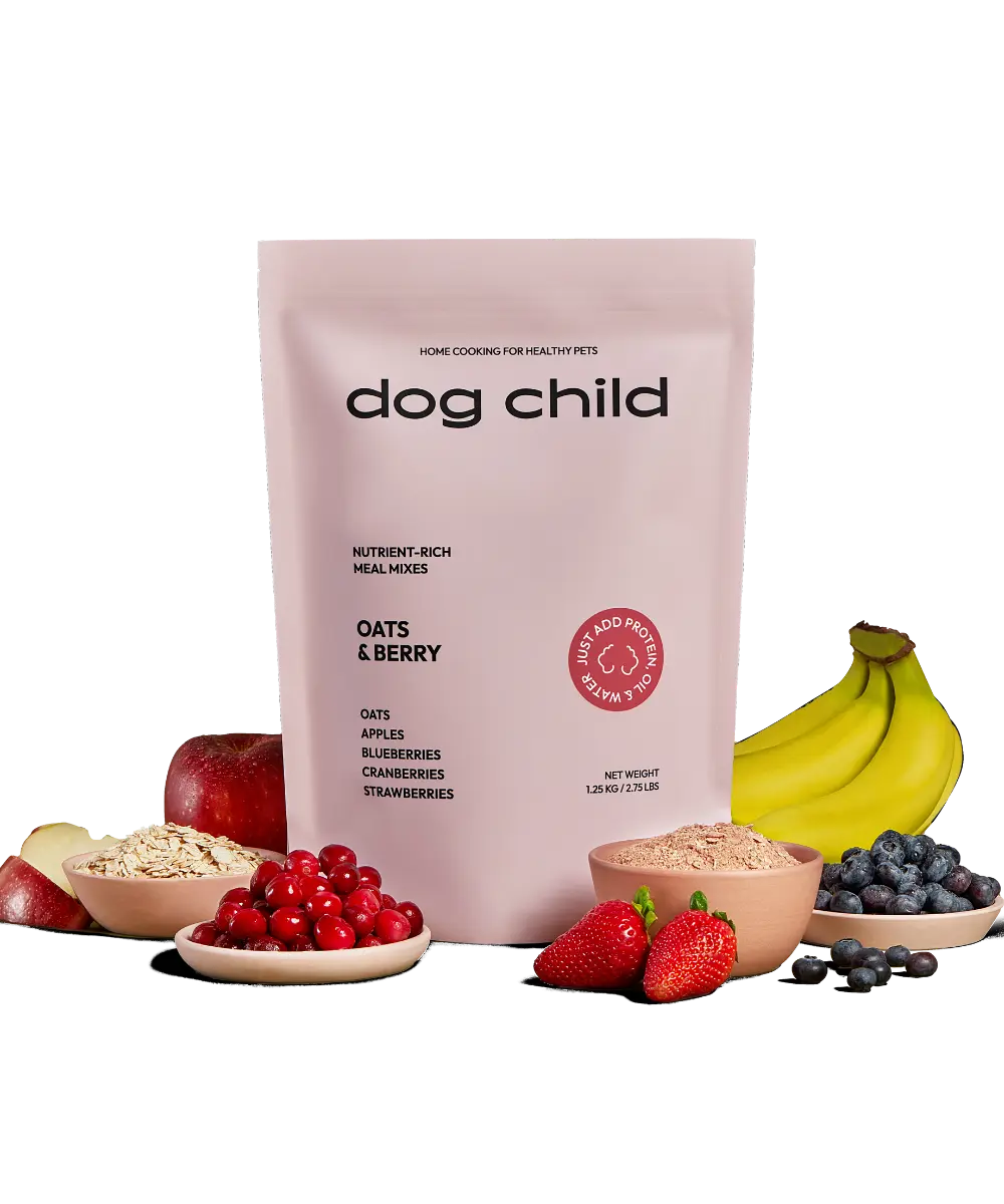 Organic Oats & Berries Meal Mix For Dogs - Dog Child