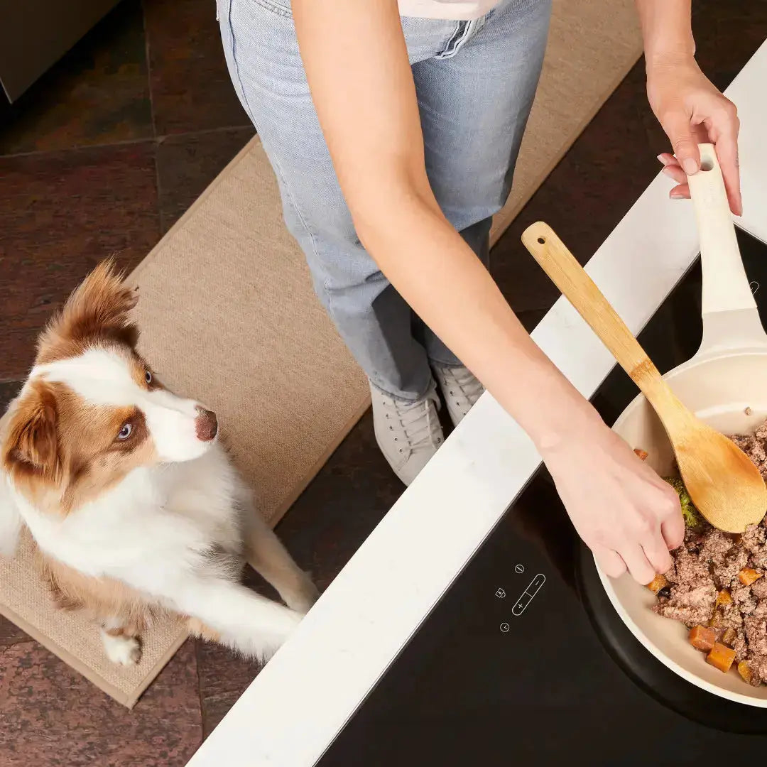 Homemade Dog Food