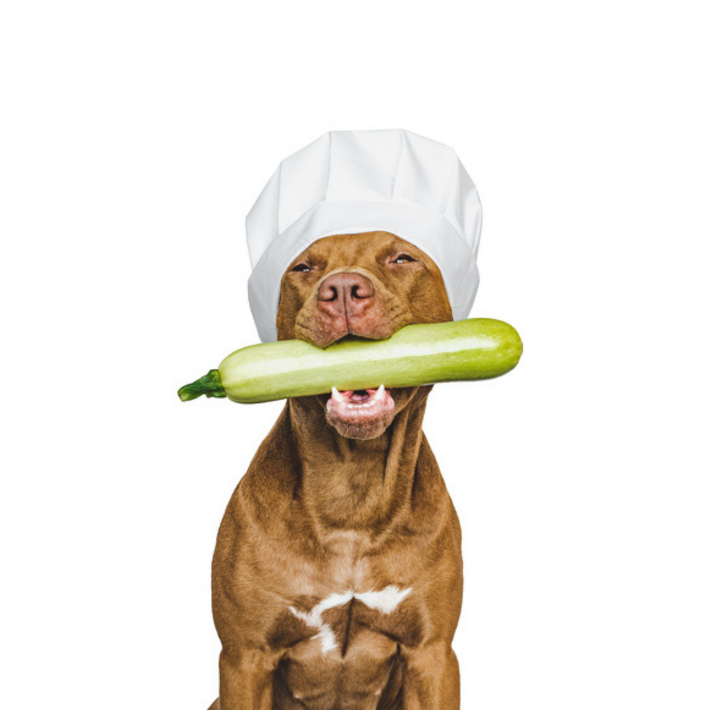 Can Dogs Eat Zucchini Can Dogs Eat Courgette Can Dogs Eat Summer