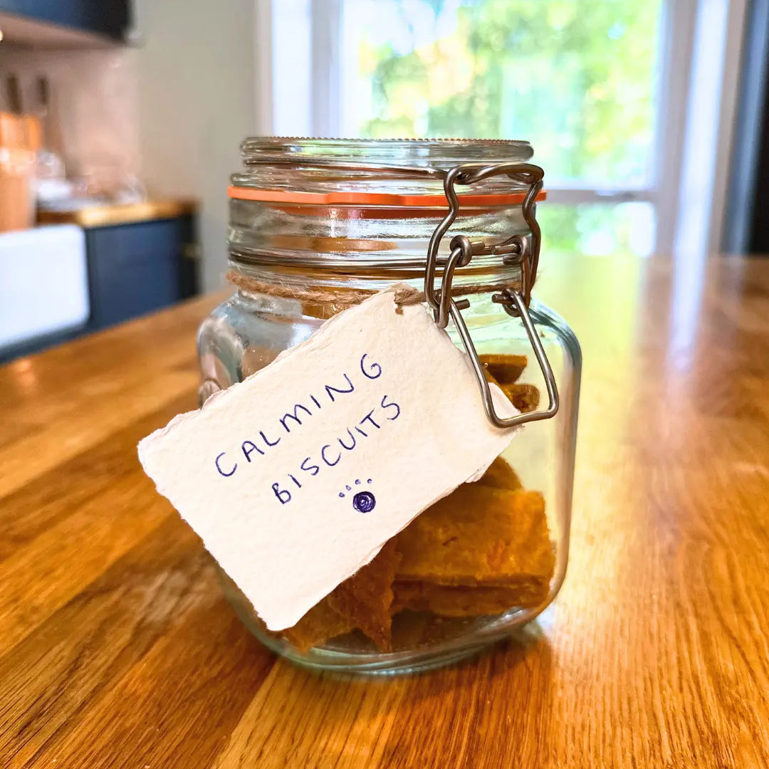 Calming-Treats-For-Dogs Dog Child