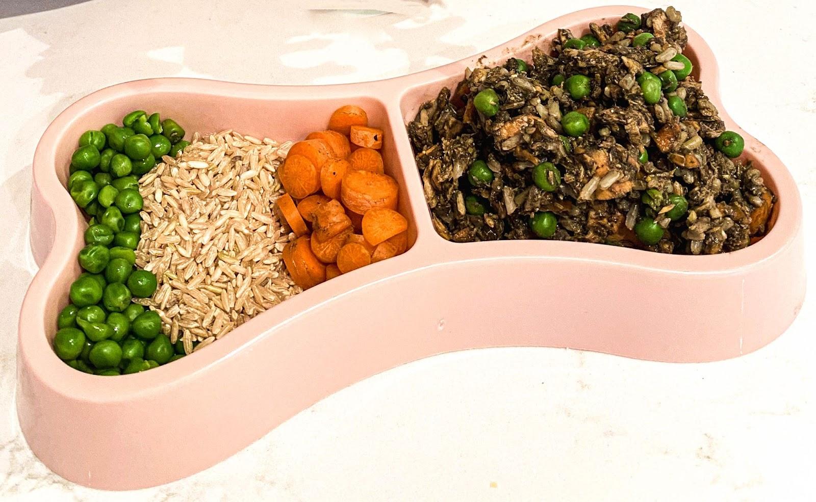 Ingredients in a dog dish and finished salmon fried rice