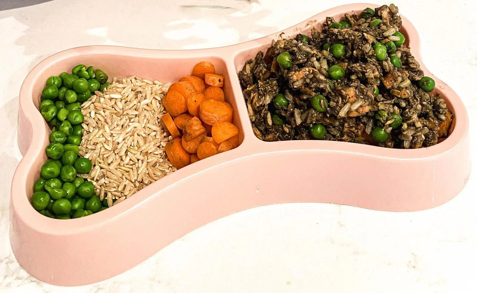 Ingredients in a dog dish and finished salmon fried rice