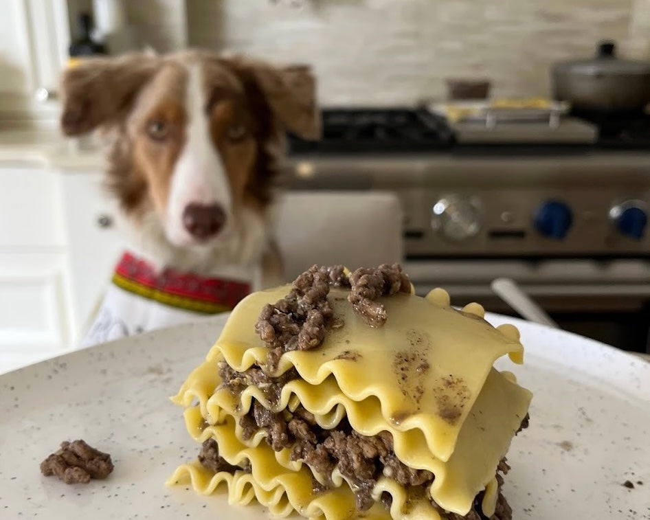Lasagna for dogs