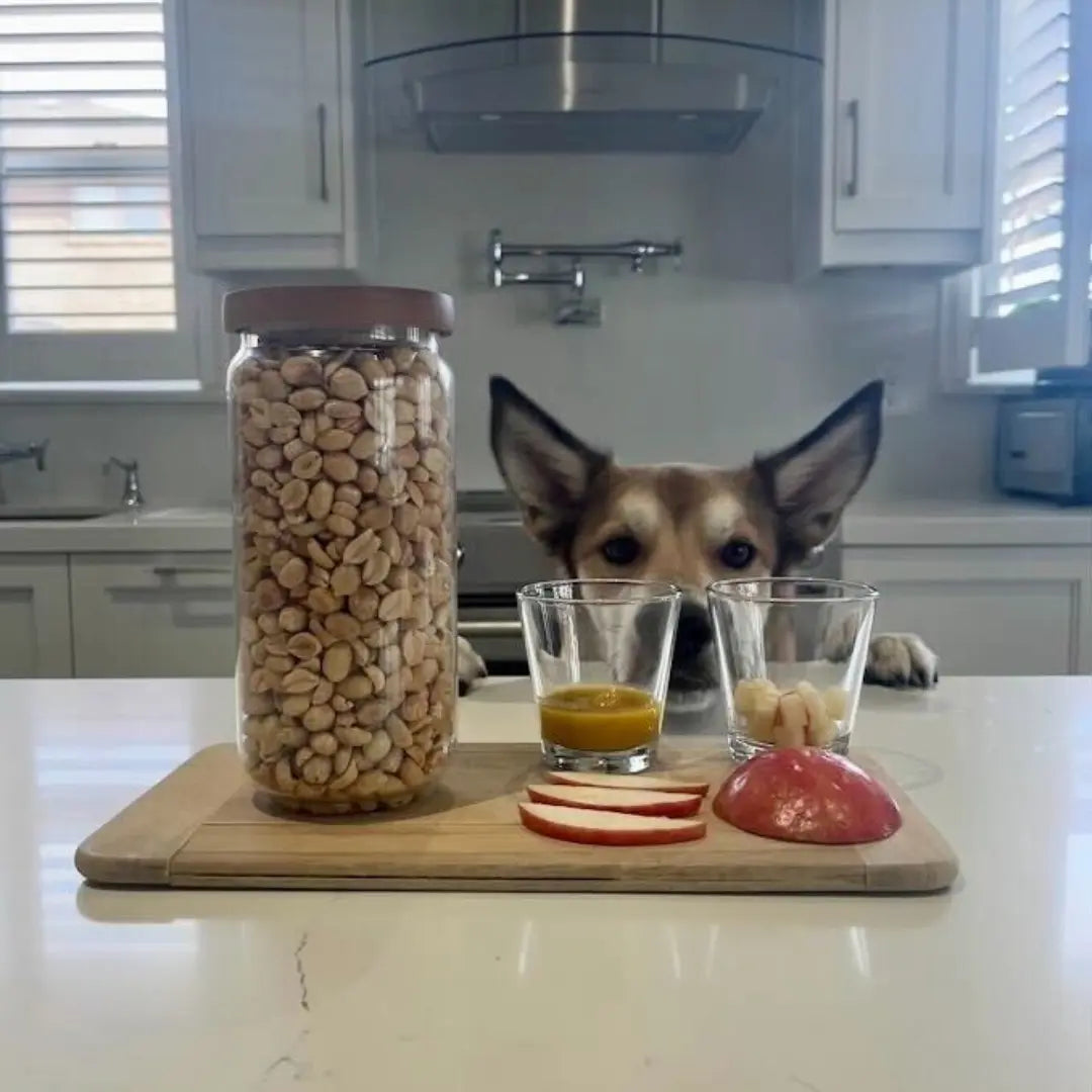 Homemade Peanut Butter for Dogs Dog Child