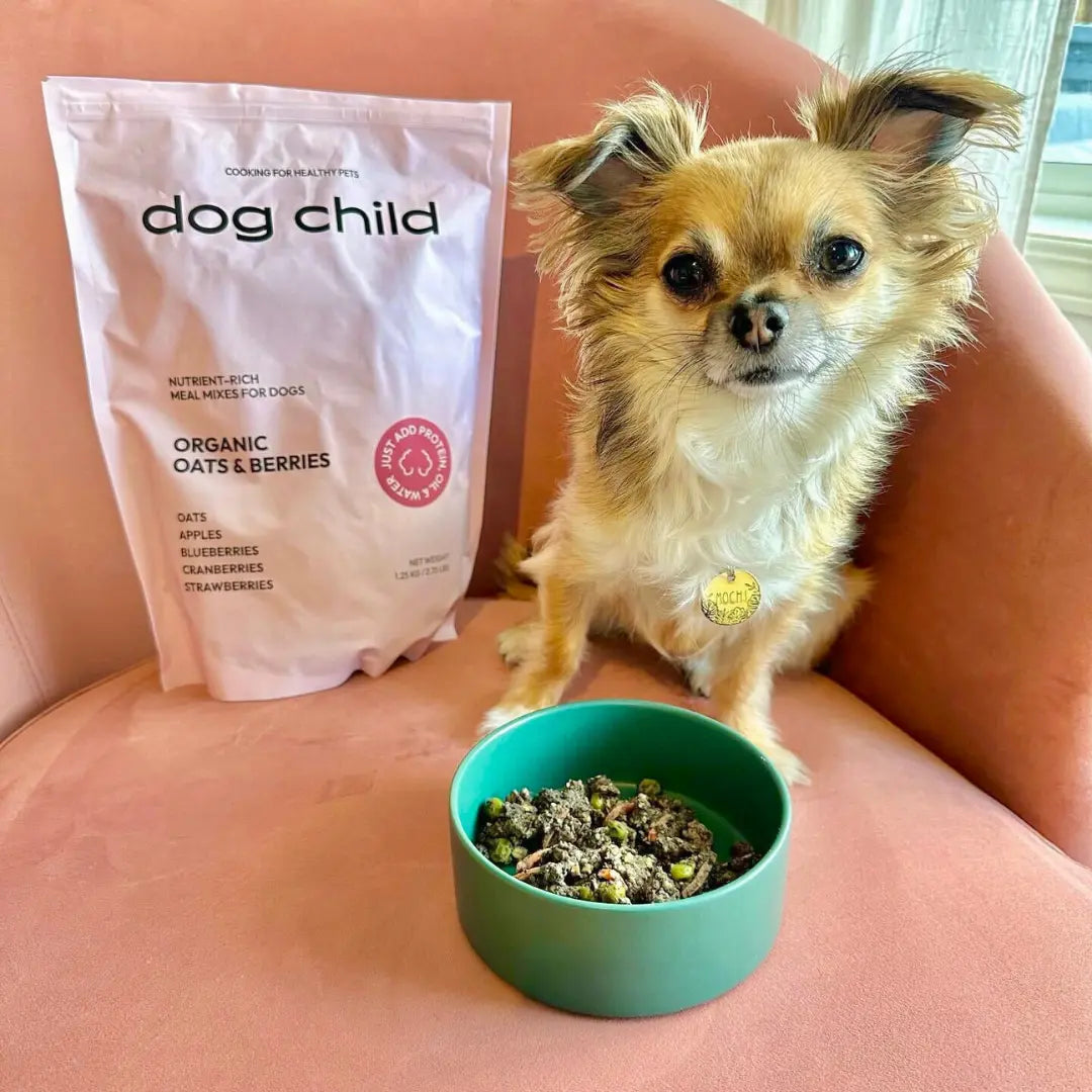 homemade ground turkey dog food recipe