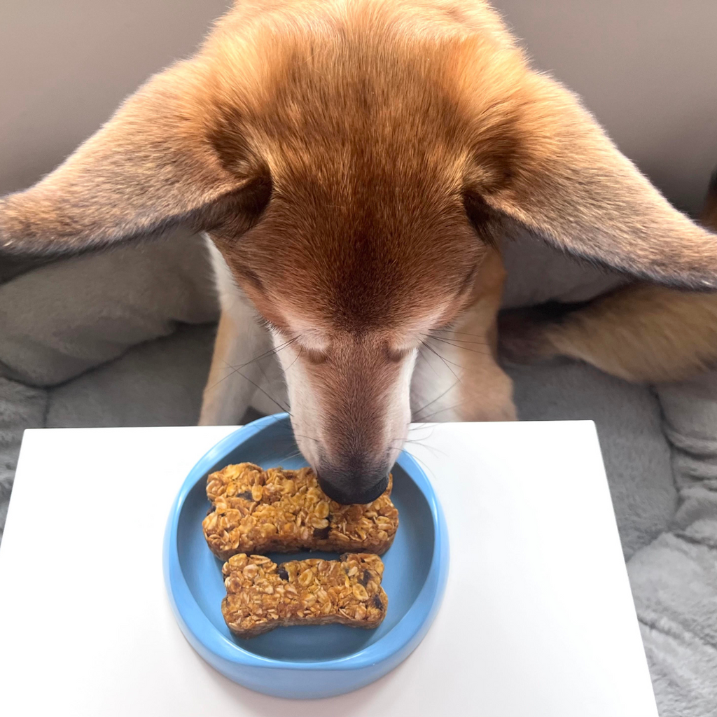 Granola dog outlet treats