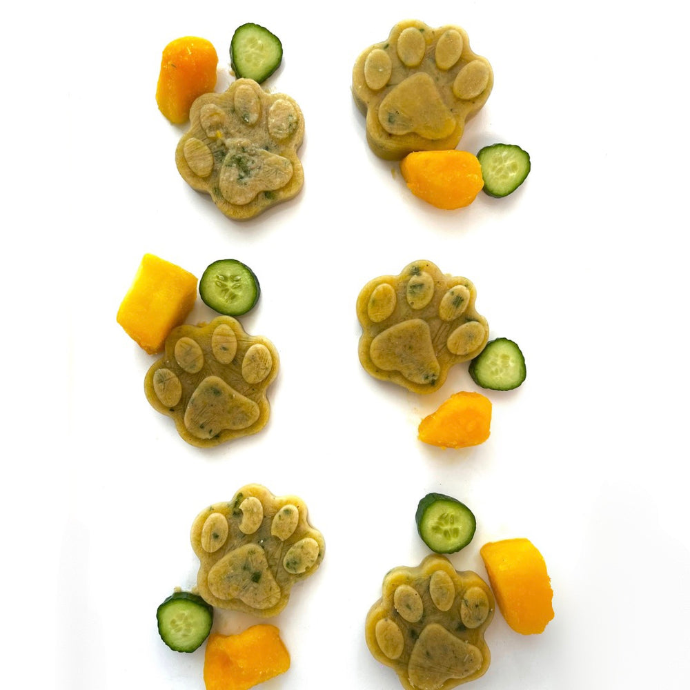 Vet-Approved Food Recipes for Dogs - Dog Child