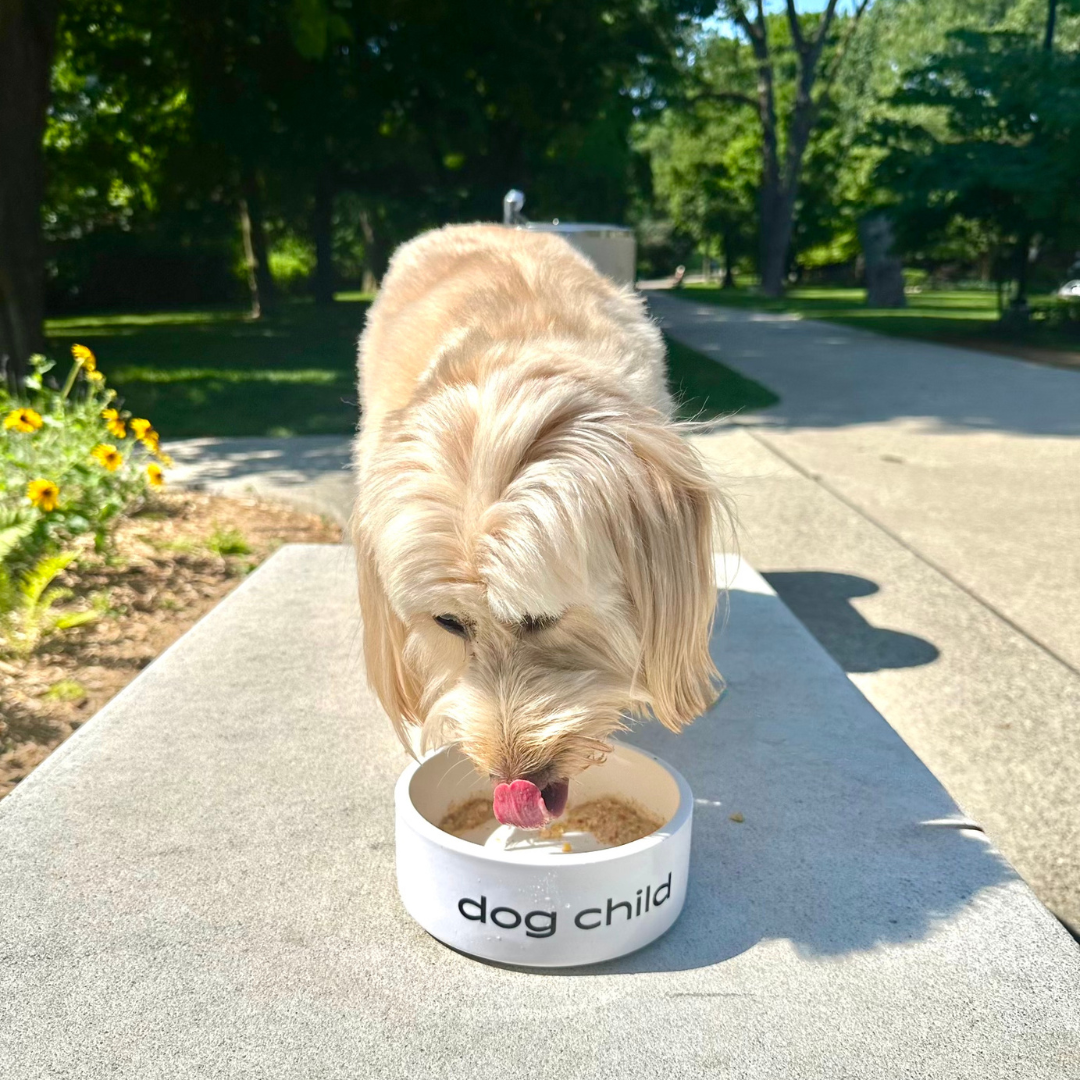 peach dog ice cream